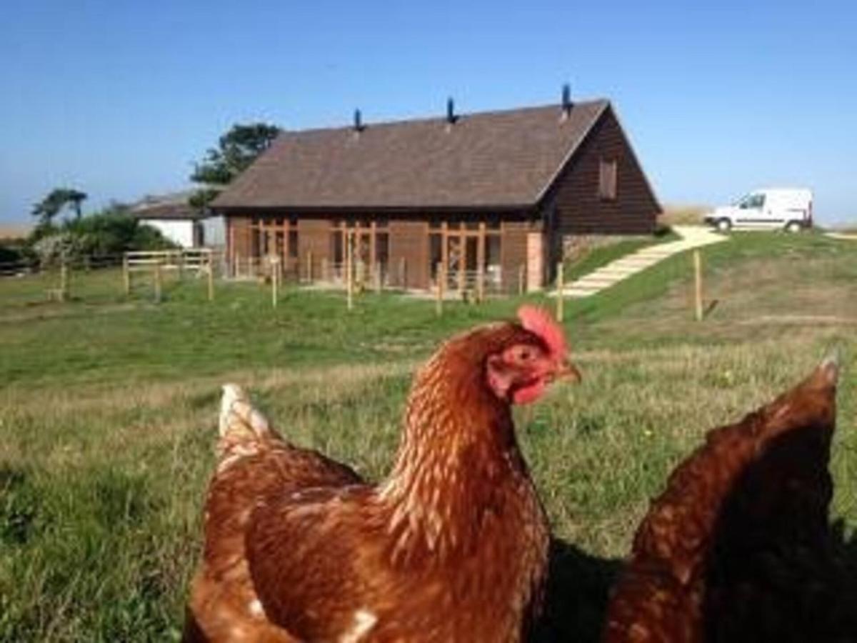 Poachers Hut - Captivating 1-Bed Cottage Shorwell Bagian luar foto