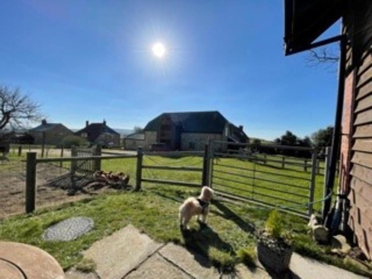 Poachers Hut - Captivating 1-Bed Cottage Shorwell Bagian luar foto