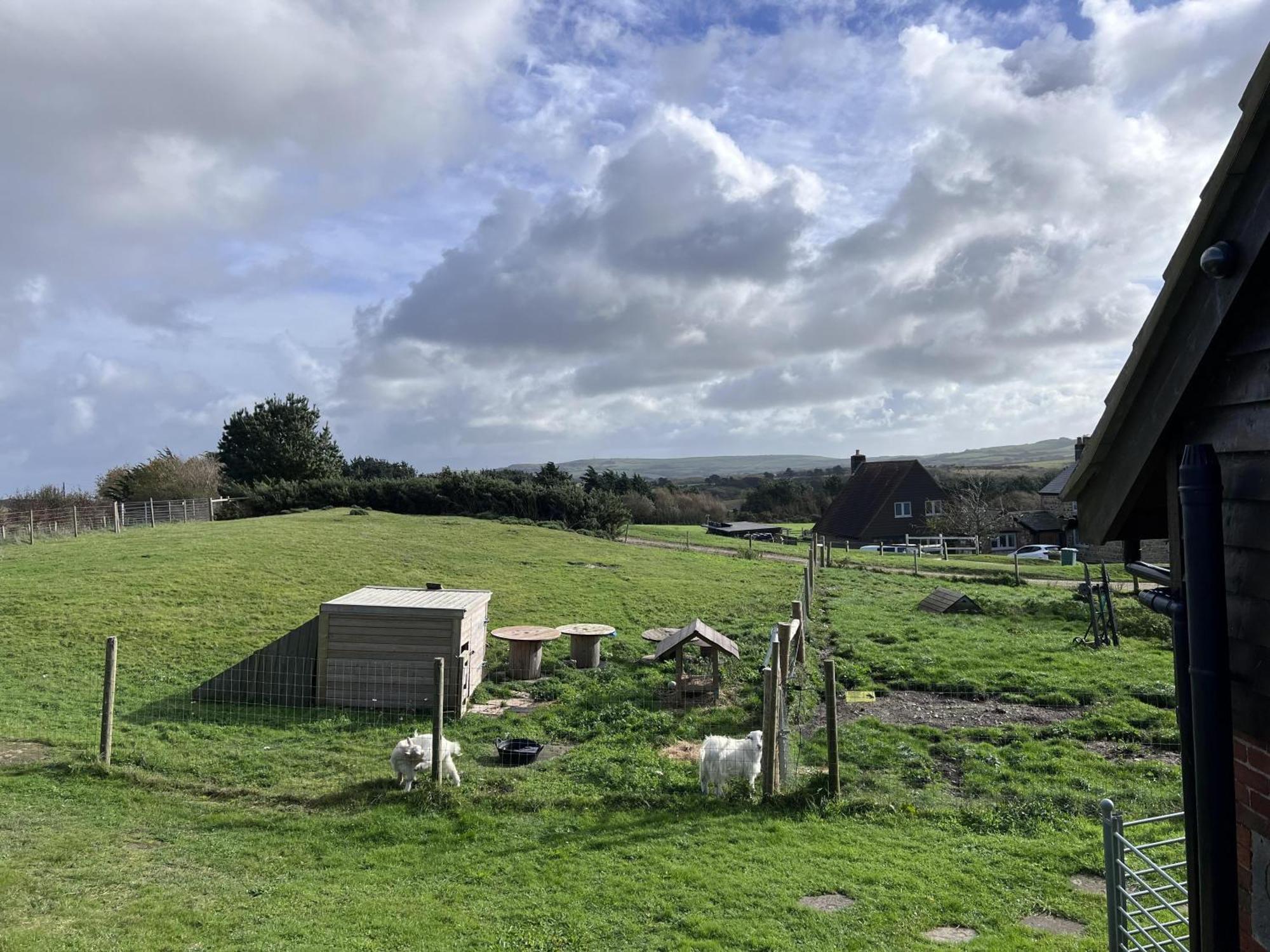 Poachers Hut - Captivating 1-Bed Cottage Shorwell Bagian luar foto