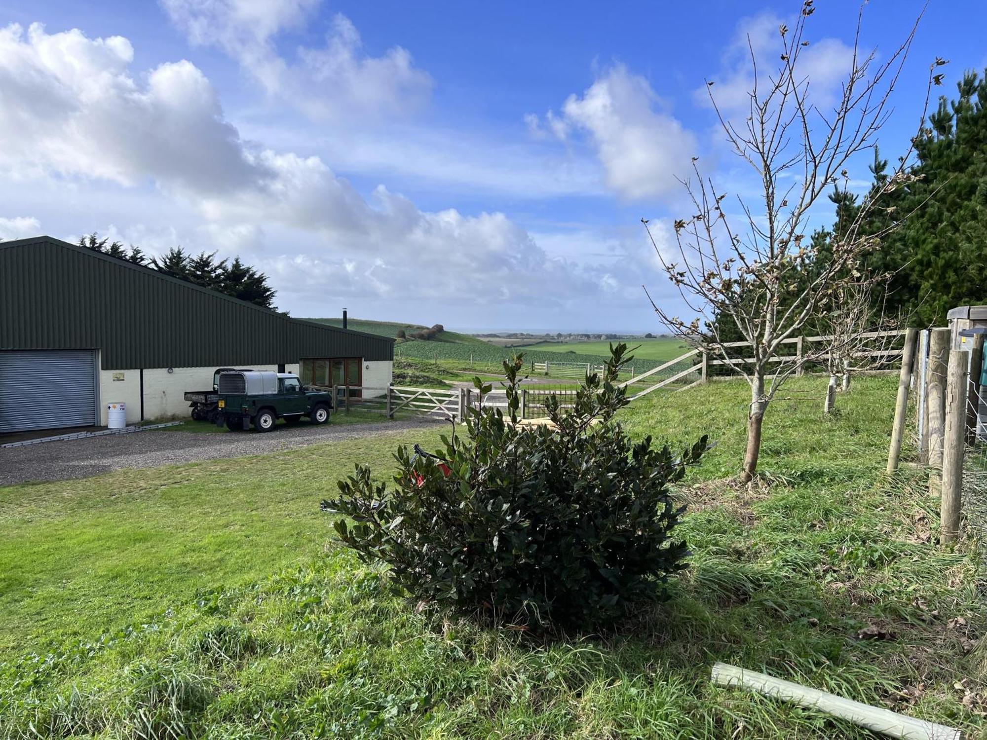 Poachers Hut - Captivating 1-Bed Cottage Shorwell Bagian luar foto